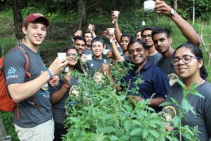 MIT IIT Innovation Gurukul participants helping Tulsi framers to develop high quality tulsi tea at Himalayan valleys of Mandi